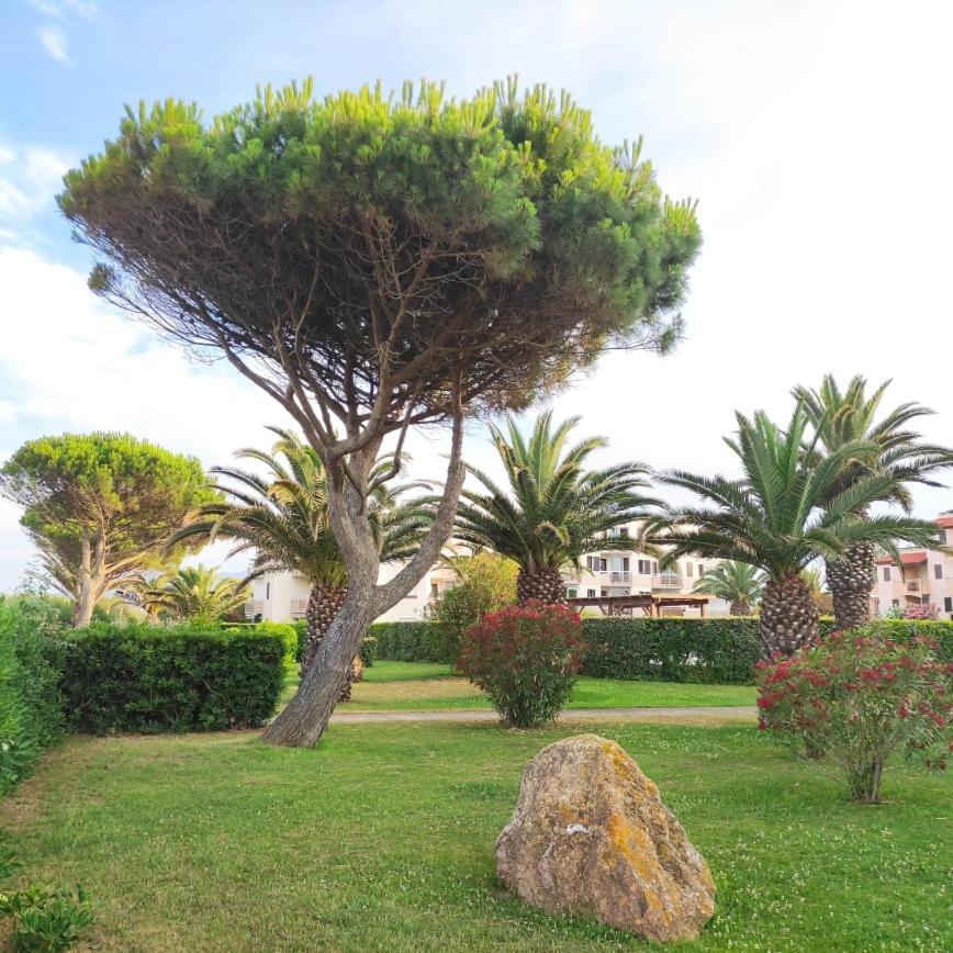 Les Capitelles 5 - Acces Direct A La Depuis Le Jardin - T2 Avec - 6 Pers - Jardin - Piscine - Parking Apartment